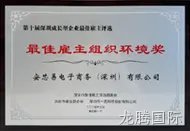深圳市成长型企业 「最佳雇主组织环境奖」